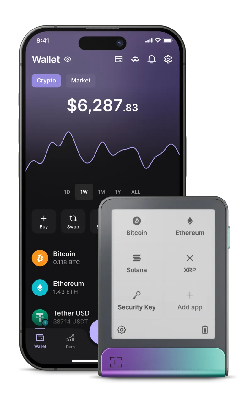 Ledger Wallet Side Visual